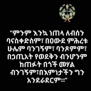 Meet your Posher, Tadesse